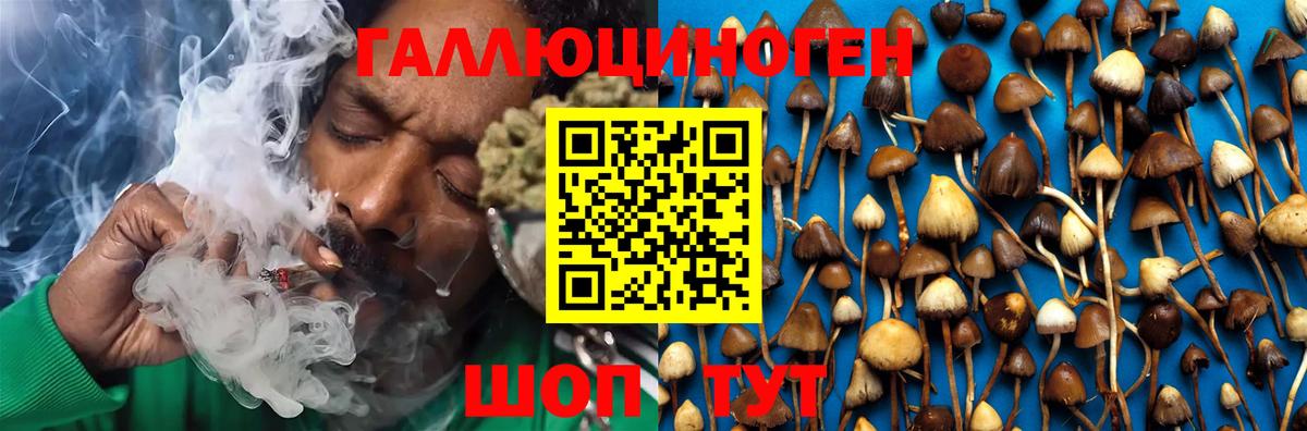 Галлюциногенные грибы мухоморы Саров