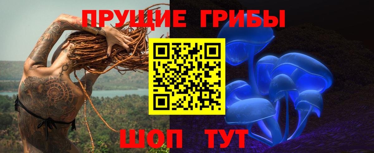 дарнет шоп  Вход с VPN  Саров  Галлюциногенные грибы Magic Shrooms 